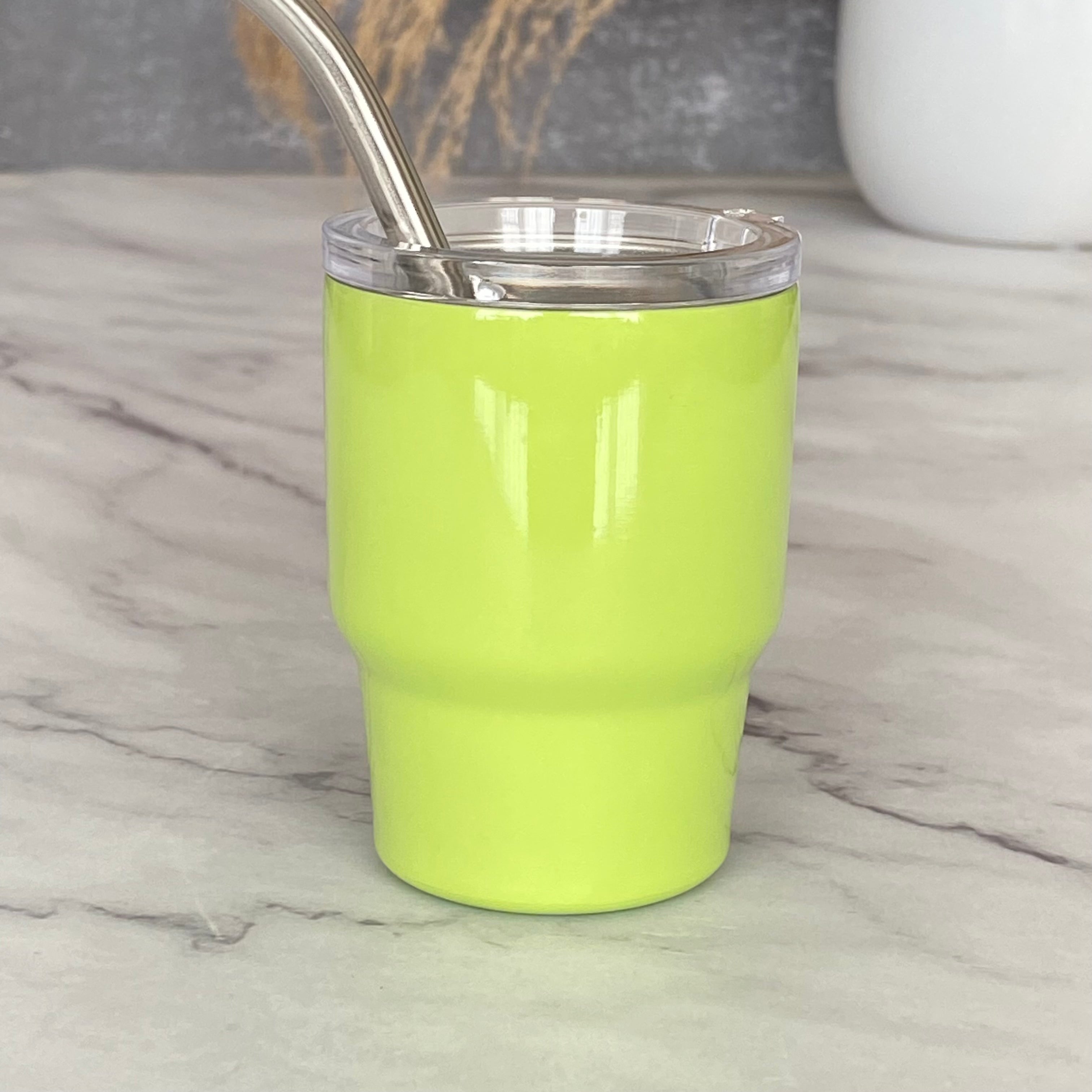Mini Stainless Steel Tumbler with Straw