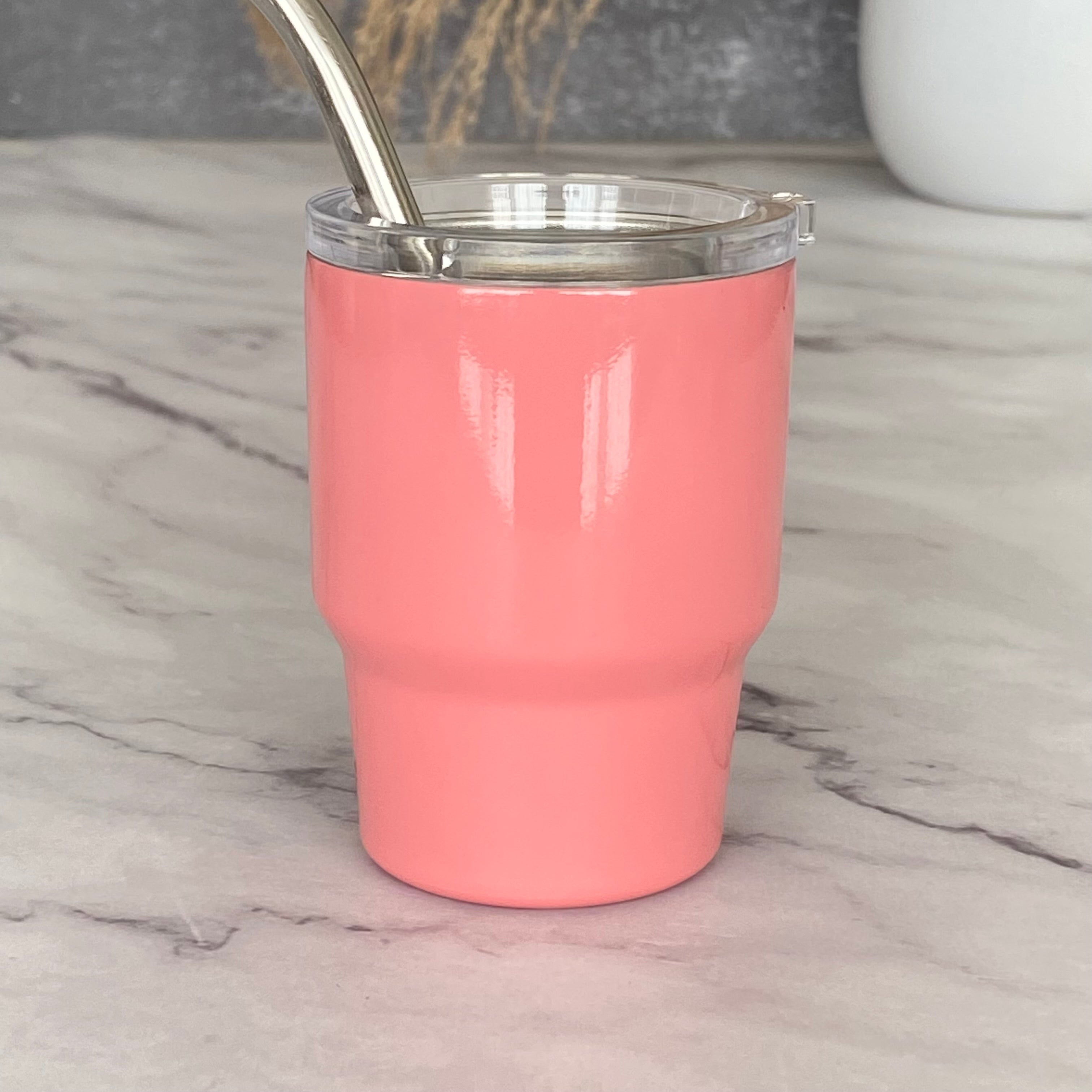 Mini Stainless Steel Tumbler with Straw