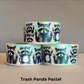 Trash Panda Raccoon Pastel  Boot