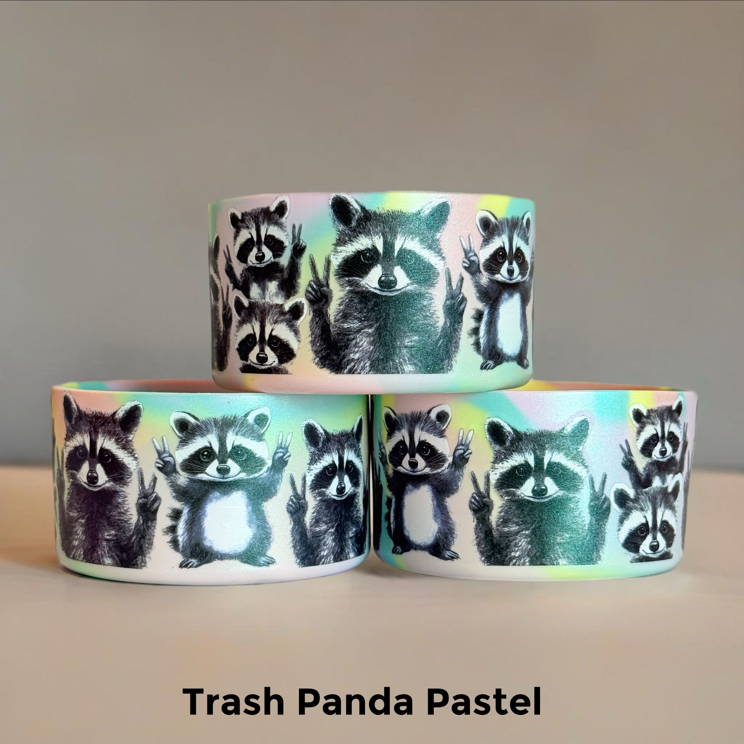 Trash Panda Raccoon Pastel  Boot